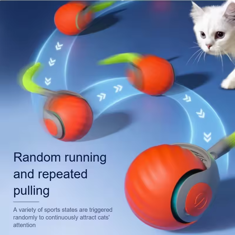 Speedy Tail 2.0